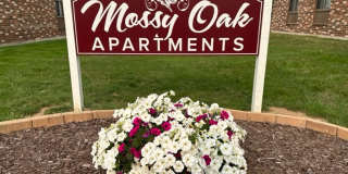 2989 Mossy Oak Circle Gallery 1