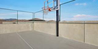 Terracina Gallery 15