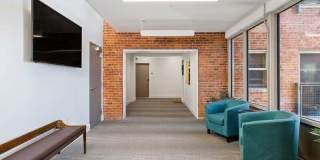 Netherland Gallery 33