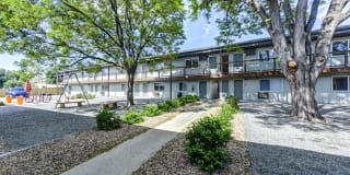 321 Place Gallery 11