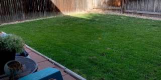 1723 Dove Creek Circle Gallery 14