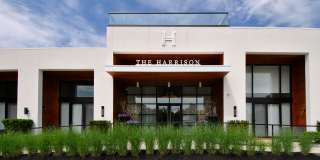 The Harrison Gallery 24