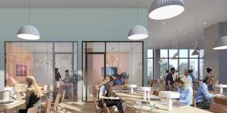 X Phoenix Gallery 13