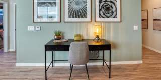 Allora Surprise Gallery 30