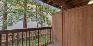 Barbur Heights Gallery 23