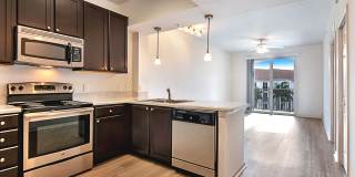 Blu Atlantic Gallery 41