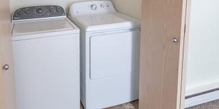 Black Lake Gallery 23