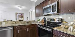 Alvista Hollywood Gallery 47