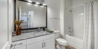 The Statesman Gallery 11