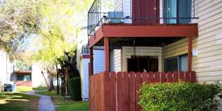 Alamo Estates Alamo Estates Gallery 21