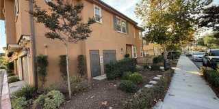 3010 E Via Fiano Gallery 1