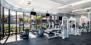 Montierra Gallery 15