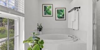 1801 Everest Parkway Gallery 42