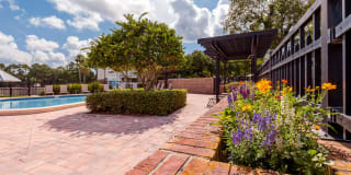 The View at Mandarin Gallery 4