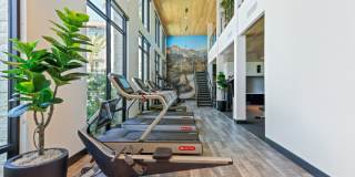 Array La Mesa Gallery 20