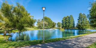 Foxridge Apartment Homes Gallery 34