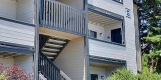 Cottonwood Creek Gallery 30