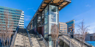 Stadium Place Gallery 61