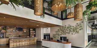 AVE Santa Clara Gallery 10