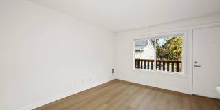 Driftwood Gallery 36