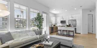 Arabelle Clearwater Gallery 15