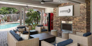 Borrego at Spectrum by Mark-Taylor Gallery 15