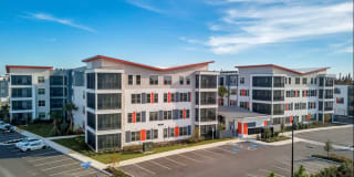 Nexus Brandon Gallery 42