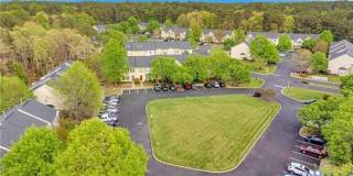 2545 Mountain Ash Circle Gallery 28