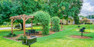 Ashford Place Gallery 38