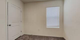 31260 Penny Surf Loop Gallery 10