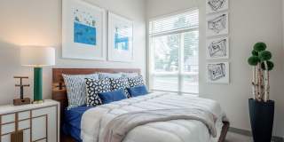 The Cameron Gallery 15