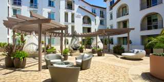 Torrey Gardens Gallery 4