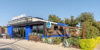 The Sadie Gallery 58