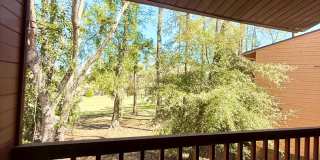 Remodeled!! Close to Shopping, VA Hospital and Hilaman Golf Course! Gallery 32