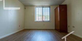 Huge 2 bed in Allston Gallery 5
