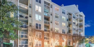 Rosslyn Heights Gallery 90