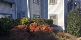 6921 VICTORIA Drive Gallery 1