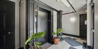 261 S Limestone Gallery 51