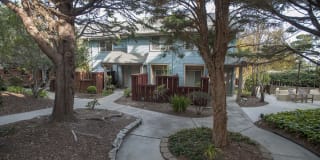 Pacific Vista Gallery 14