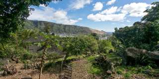 Rarely Available Private Estate in Manoa! Move in Ready! Gallery 32