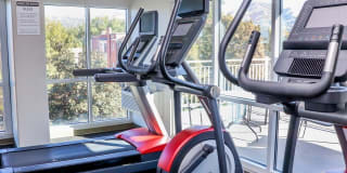 The Mercer Gallery 43