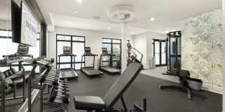 Indigo Stuart Gallery 25