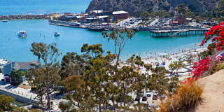 Light and Bright Home in Dana Point Near Doheny Beach! Gallery 32