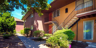 Royal Oaks Gallery 2