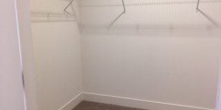 LP1 Research - #168 LP1 Research - #168 Gallery 7