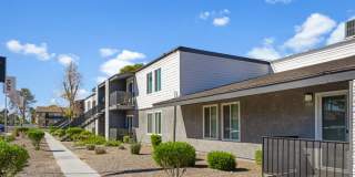 SITE Fifty55 Gallery 21