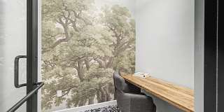The Reserve at Meadowmont Apartments and Townhomes Gallery 12