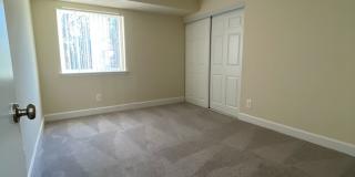 Northgate Gallery 231
