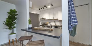 Novi at Lowry Gallery 19