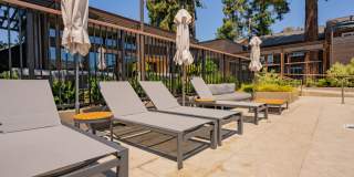 Peartree Apartments Gallery 28